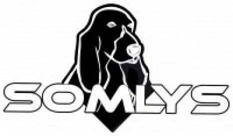 logo somlys8